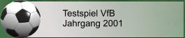 Testspiel VfB Jahrgang 2001
