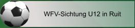 WFV-Sichtung U12 in Ruit