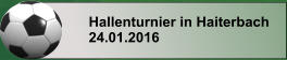 Hallenturnier in Haiterbach 24.01.2016