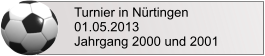 Turnier in Nürtingen 01.05.2013 Jahrgang 2000 und 2001